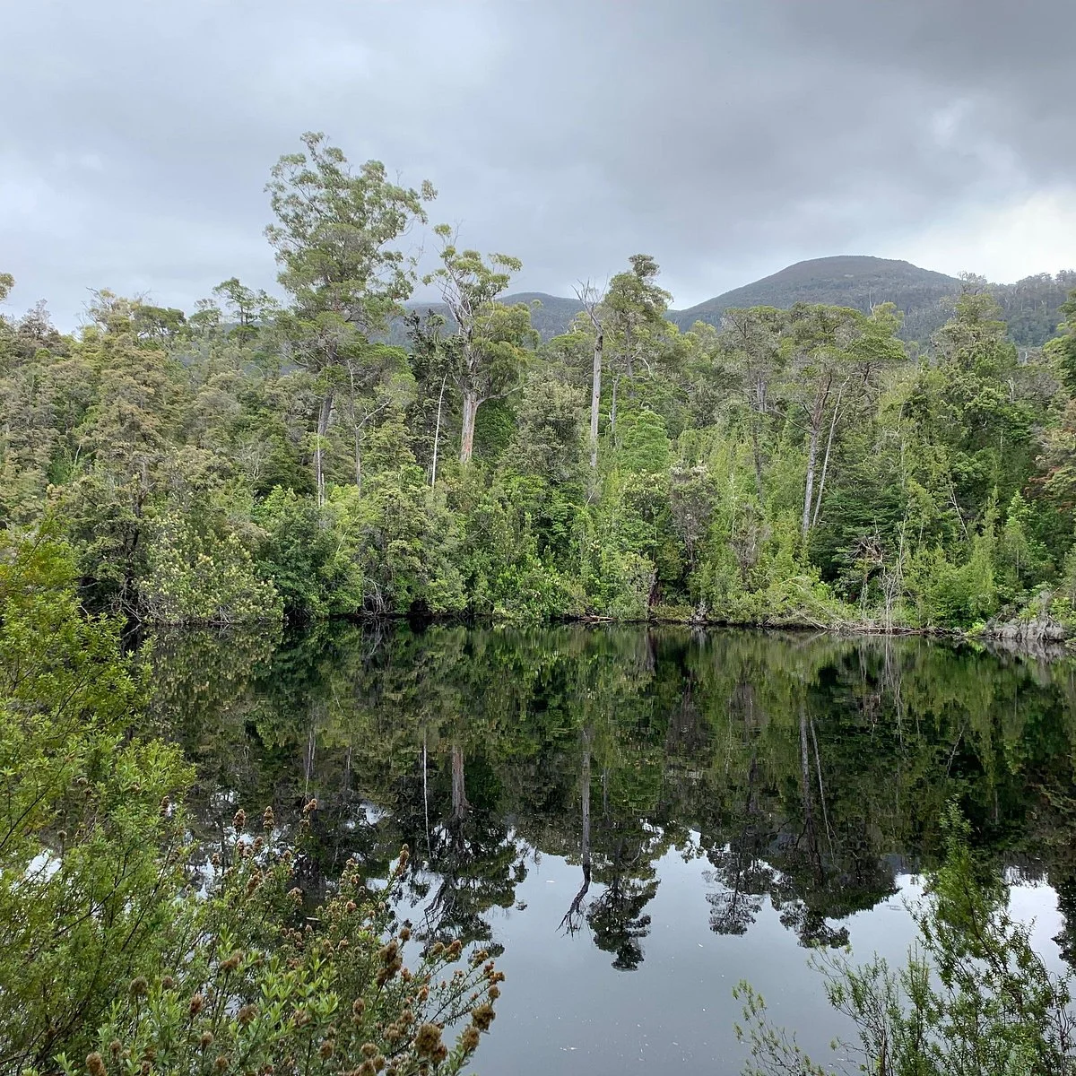Duck Hole Lake Walk