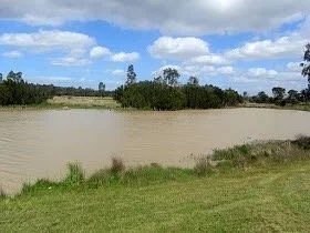 Dandenong Wetlands