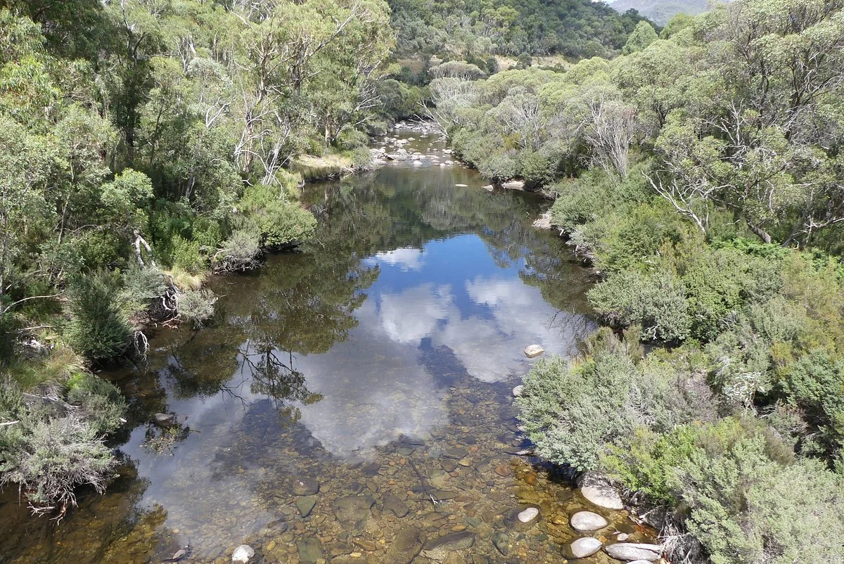 Thredbo Valley Track