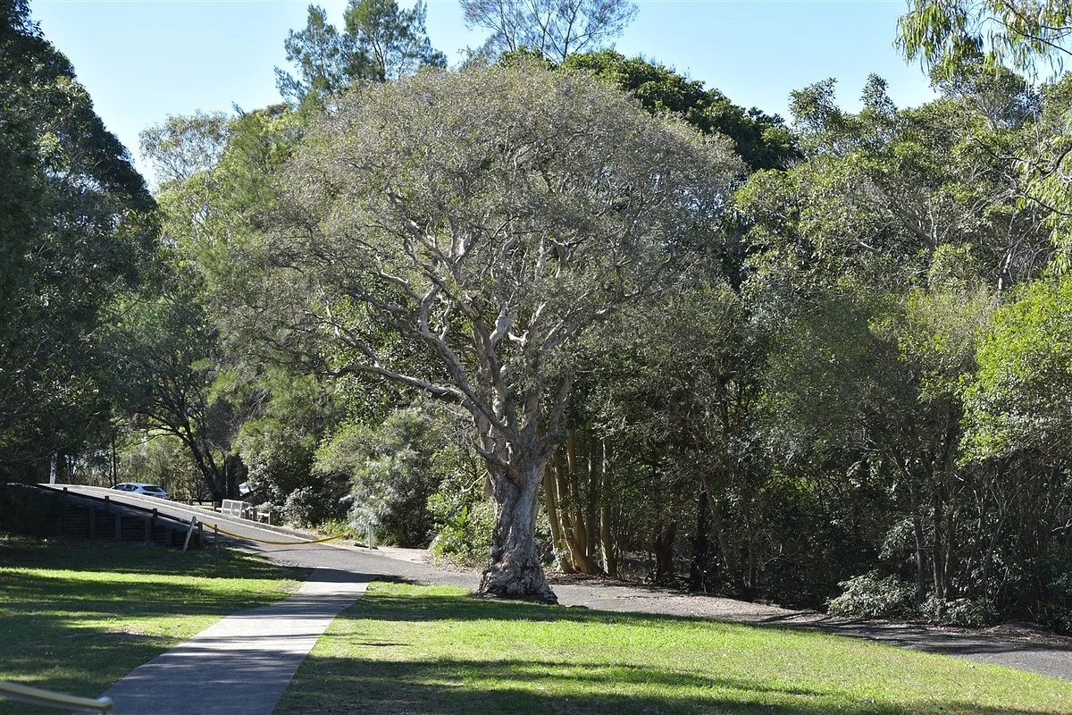 Banjo Paterson Reserve