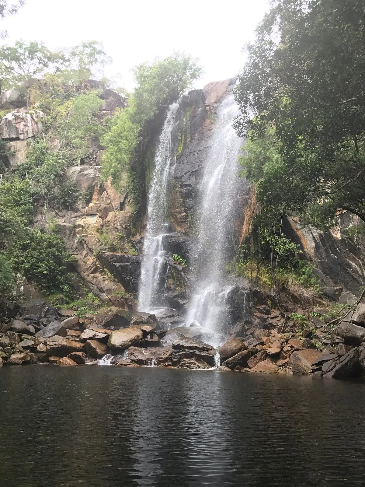 Nature's Powerhouse