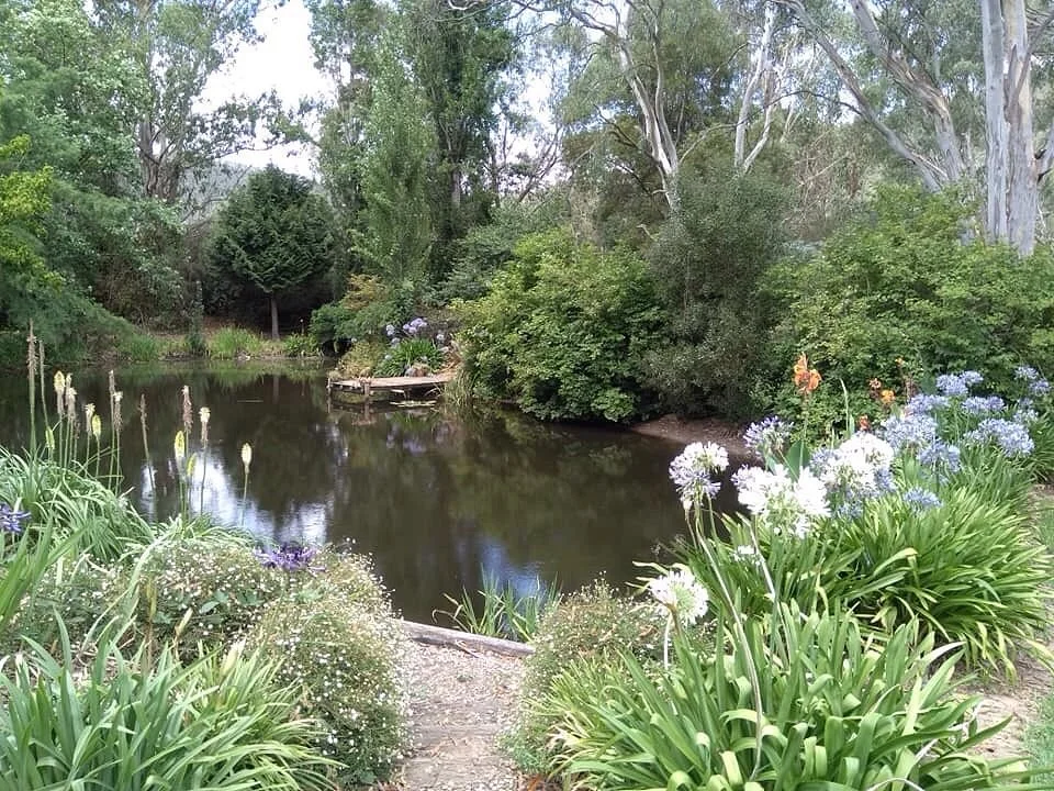 The Witches Garden