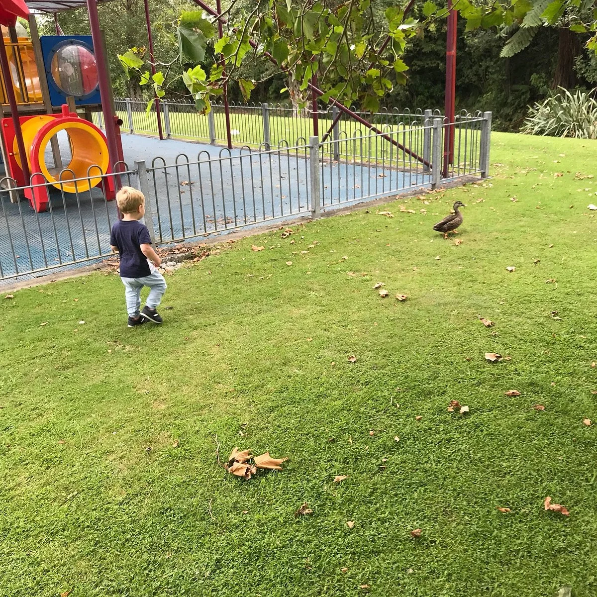 Dixon Park