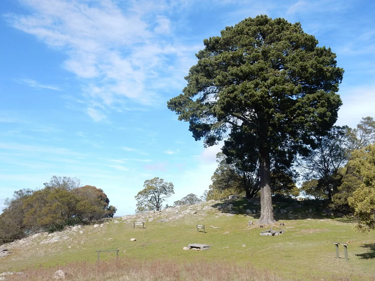 Mount Beckworth Scenic Reserve