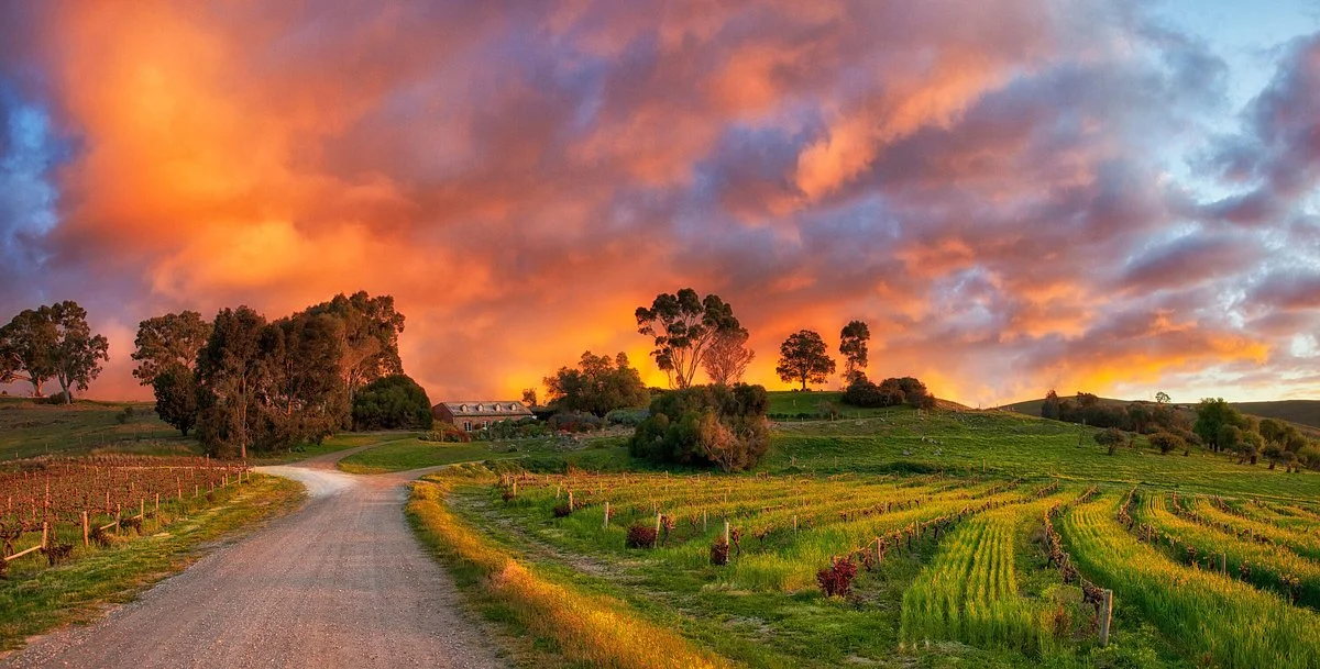 Bethany Wines