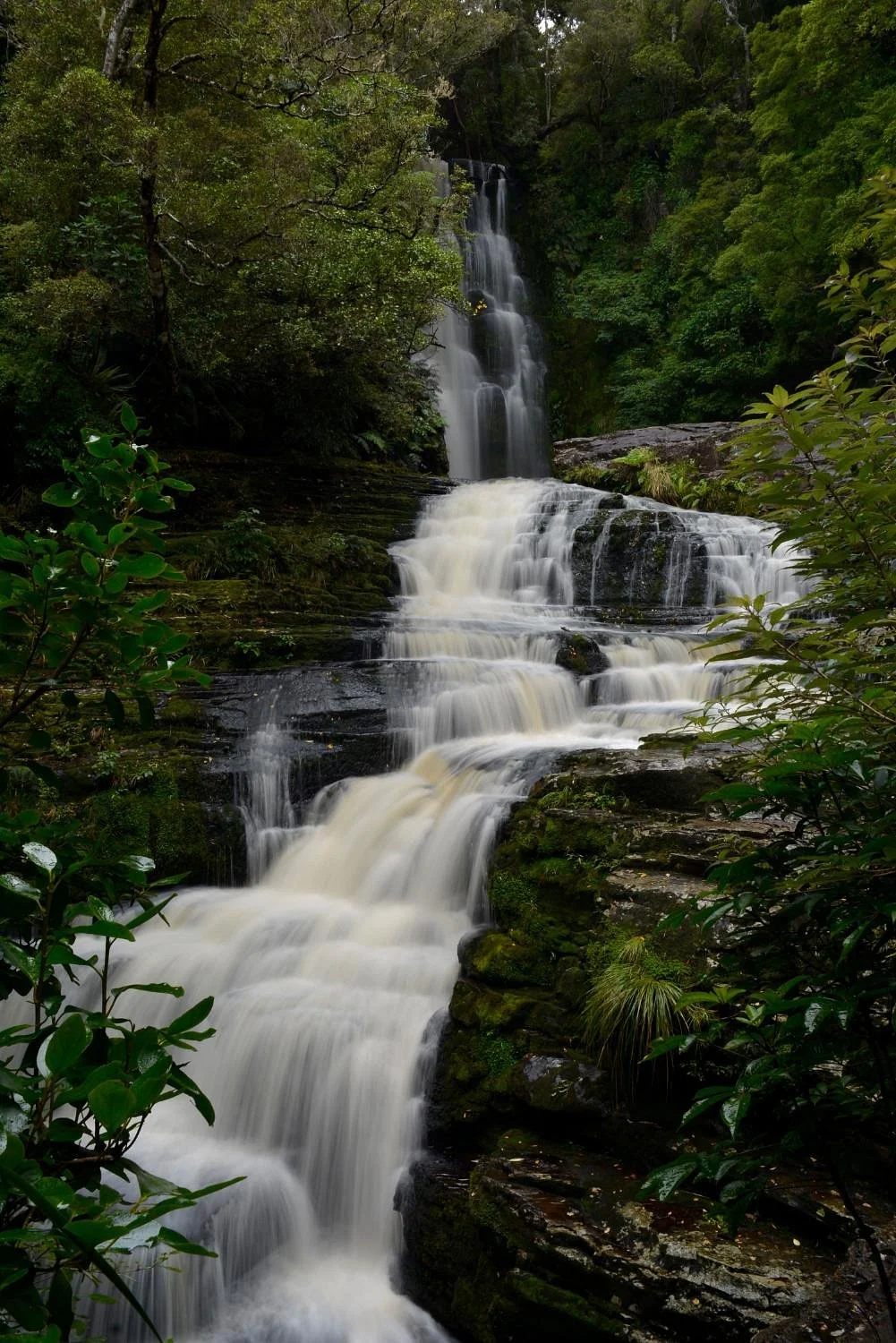 McLean Falls Walk