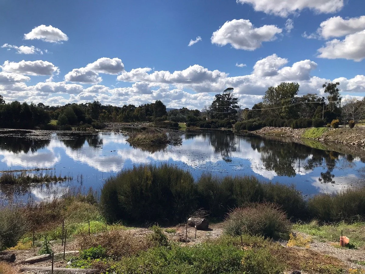 Goulburn Wetlands