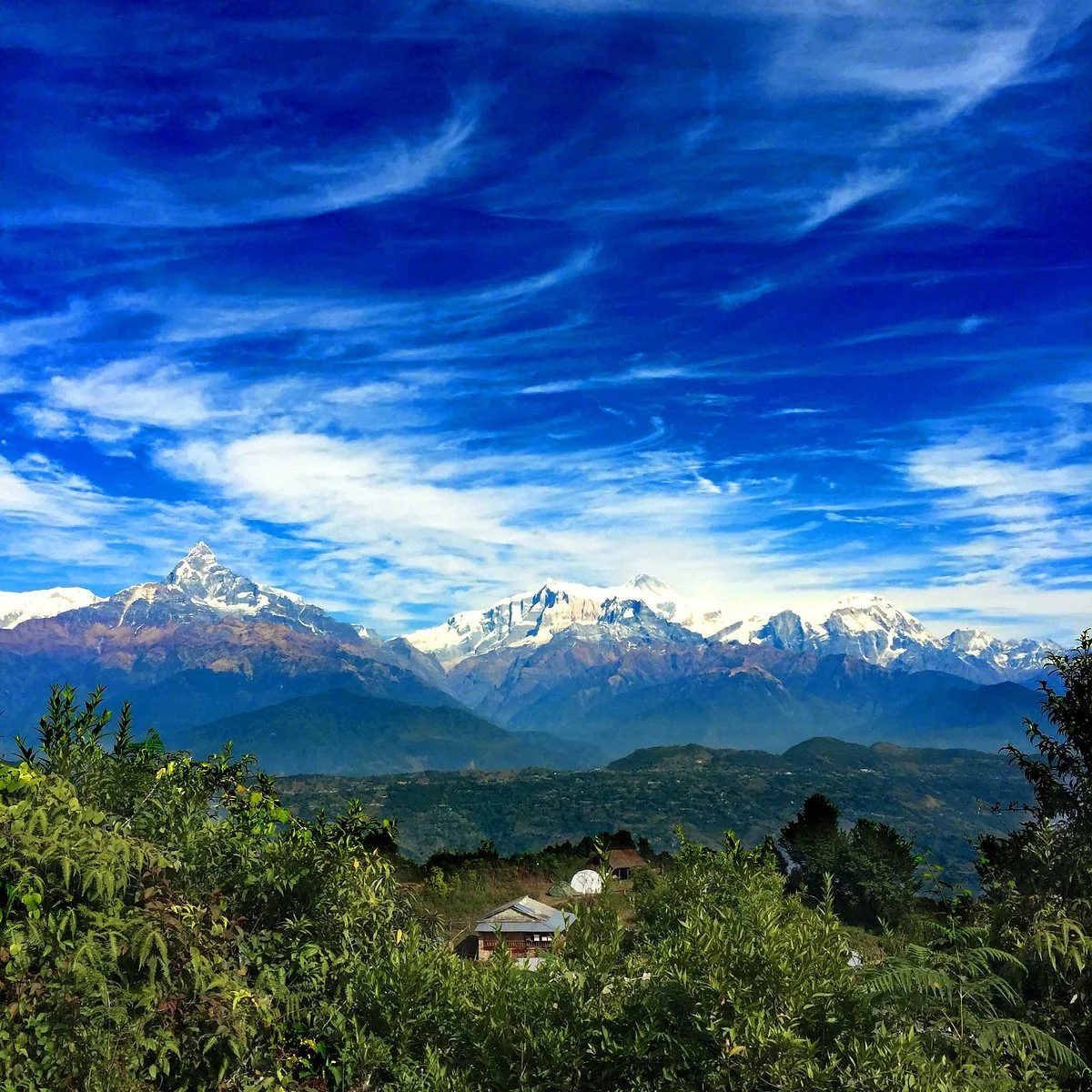 Adam Tribe Organic Farm