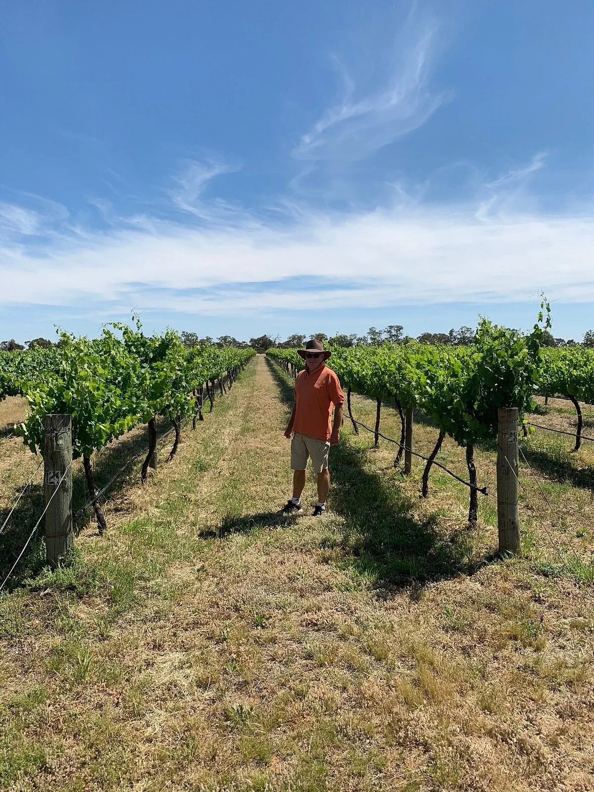 Restdown Wines and Jungle Lane Beef