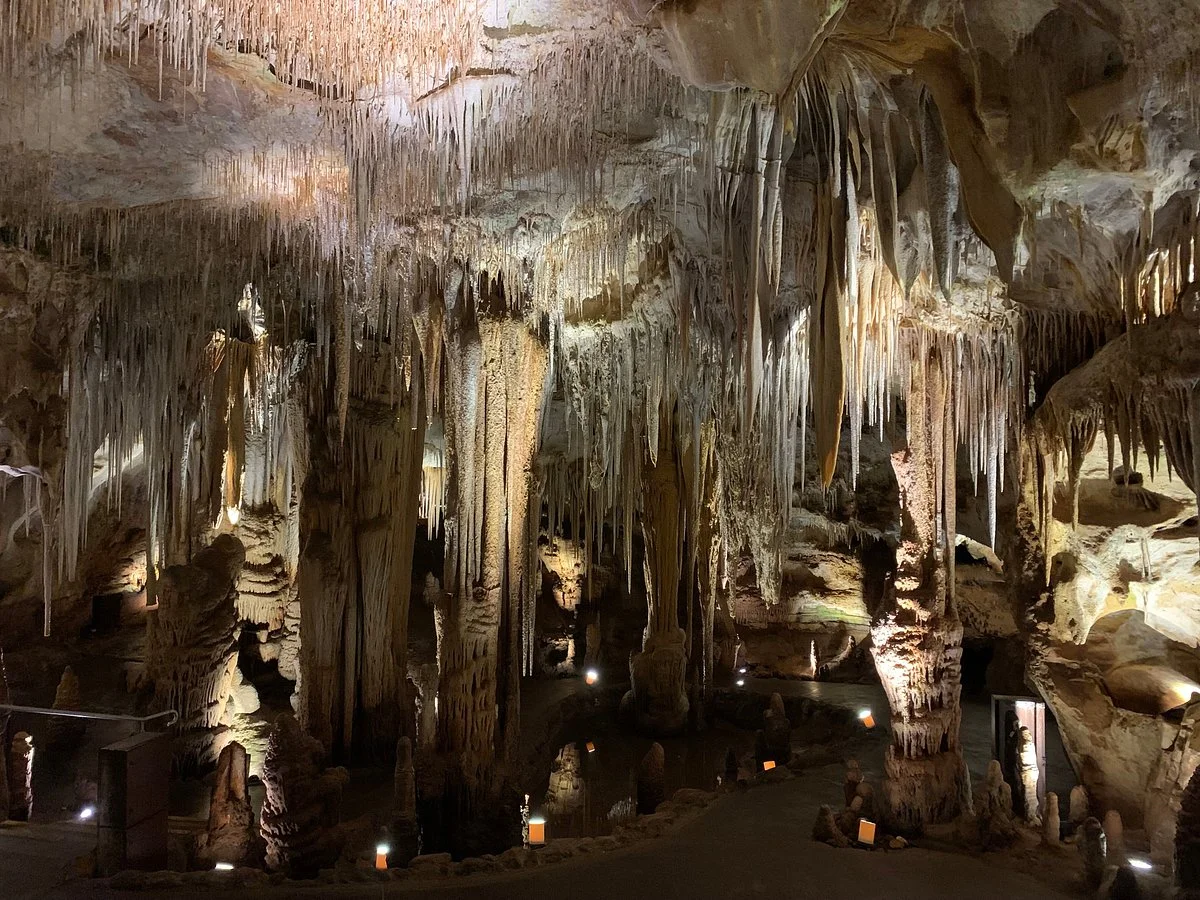 Tantanoola Caves Conservation Park