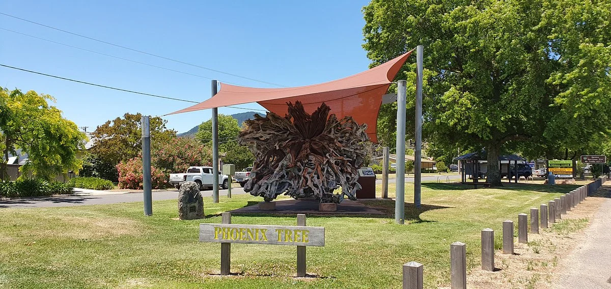 The Phoenix Tree