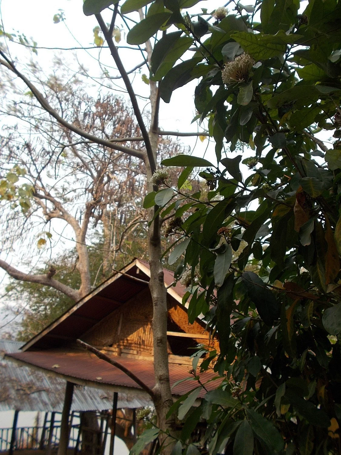 The Handicraft Village Ban Pieng Ngam