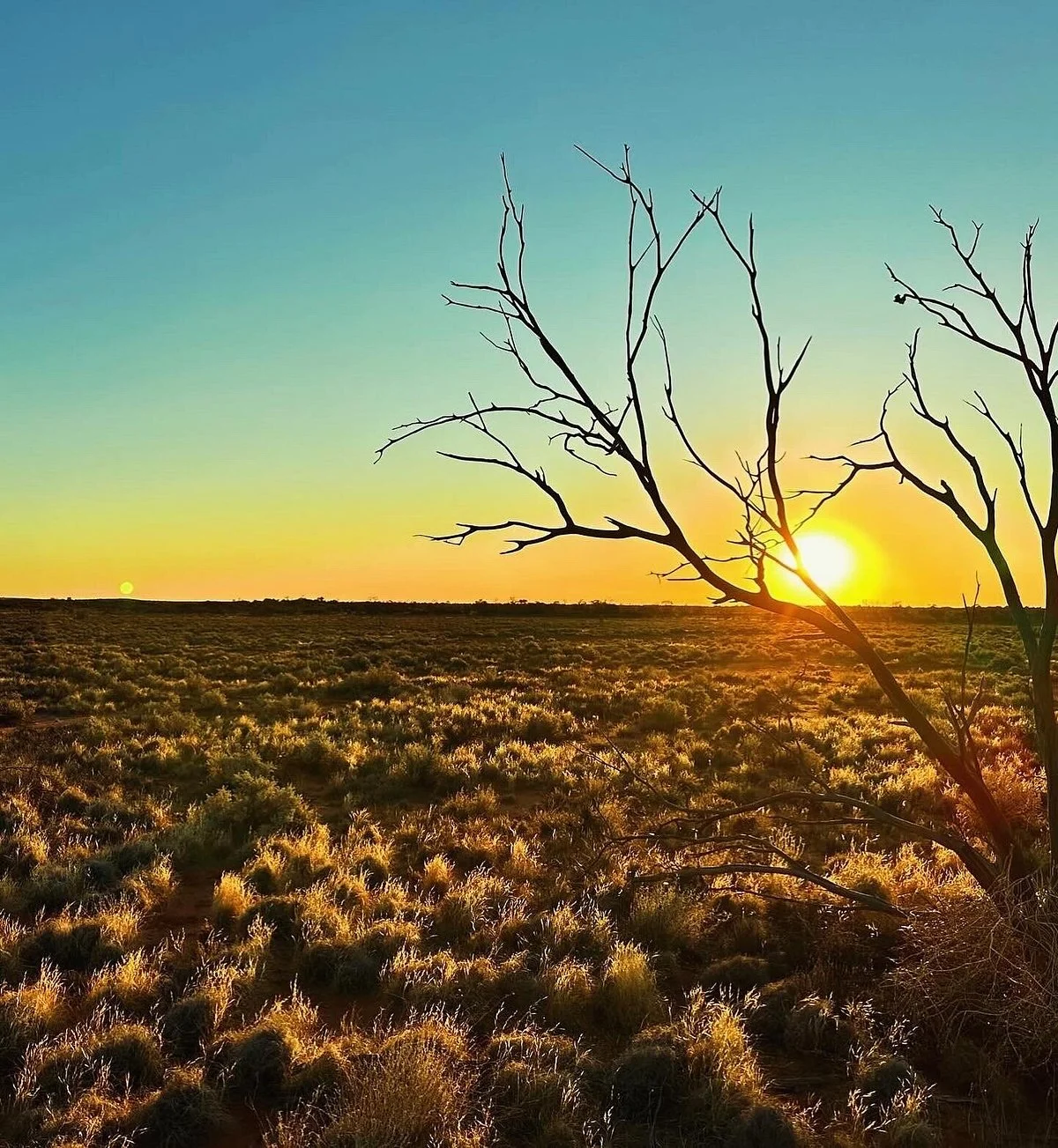 Arid Recovery