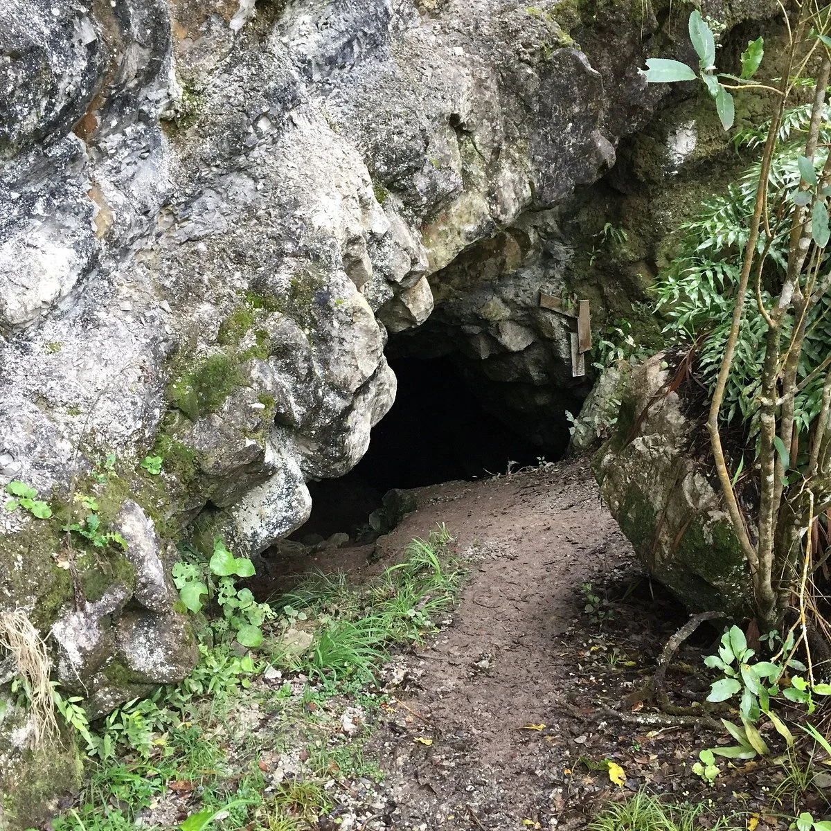Cobden Cave