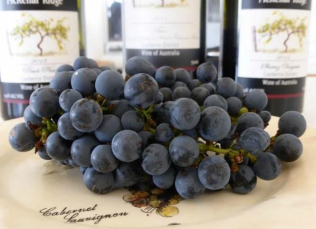 McKellar Ridge Wines
