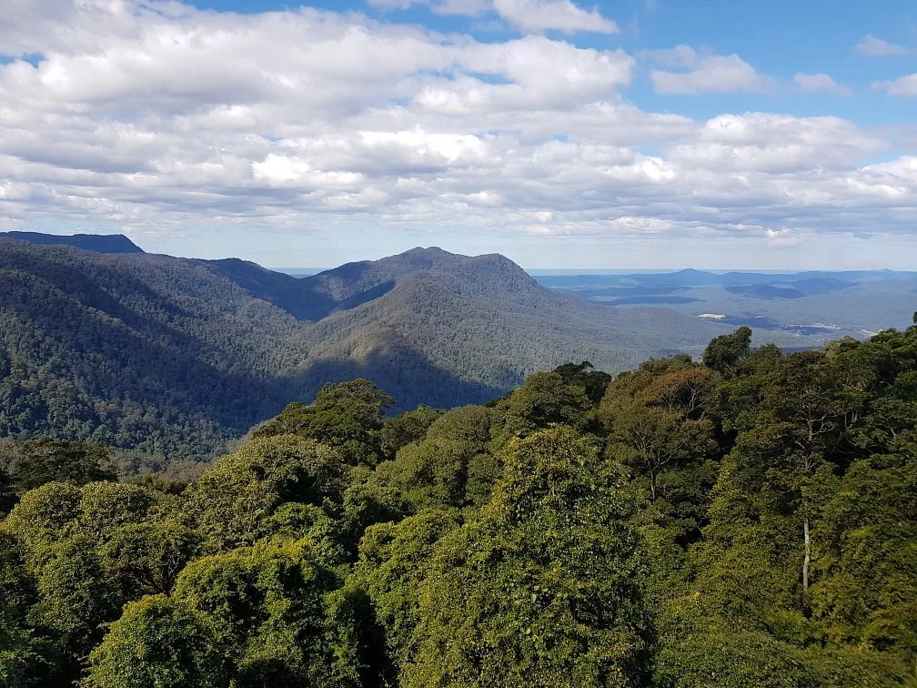 Dorrigo Rainforest Centre