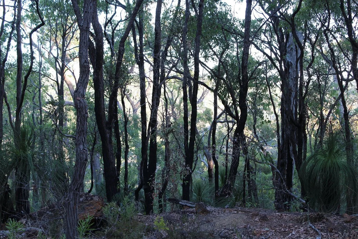 Gooseberry Hill National Park