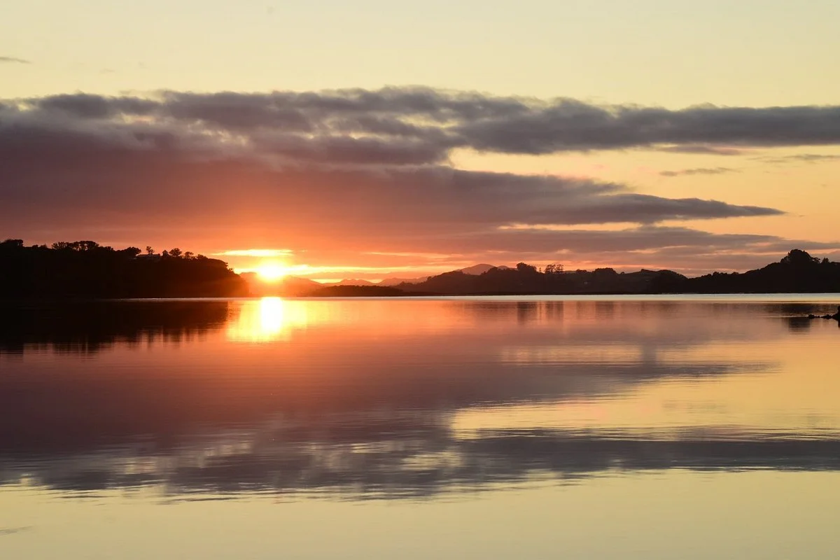 Aroha Island Ecological Centre