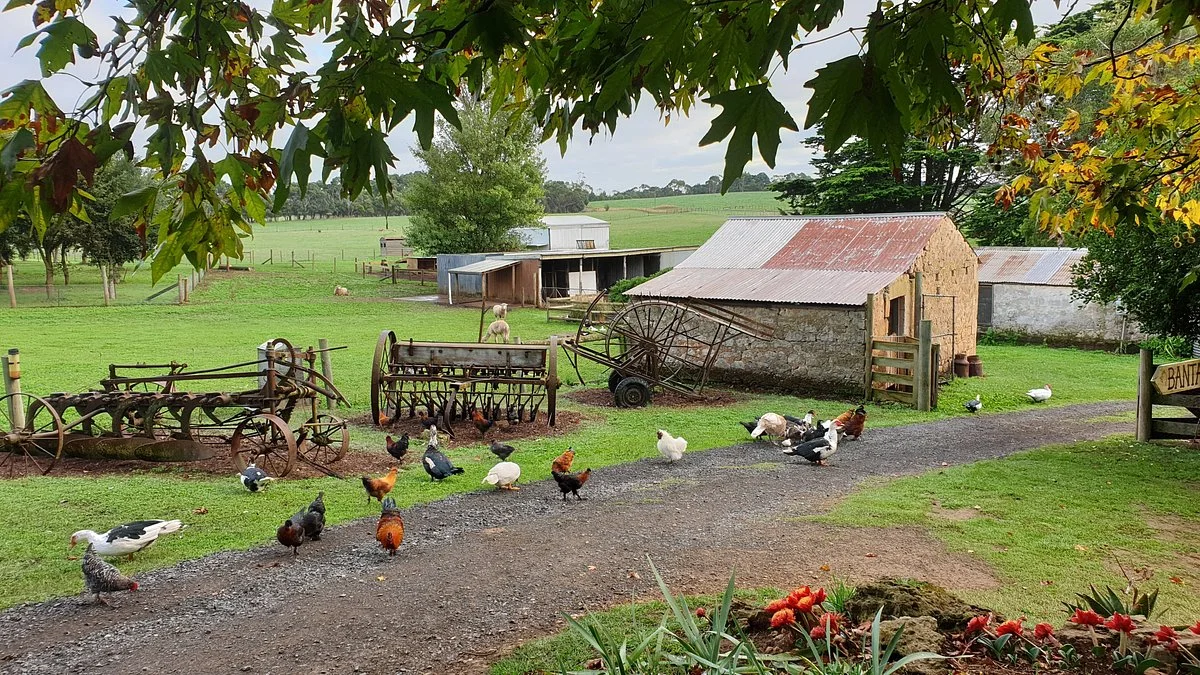 Echo Farm