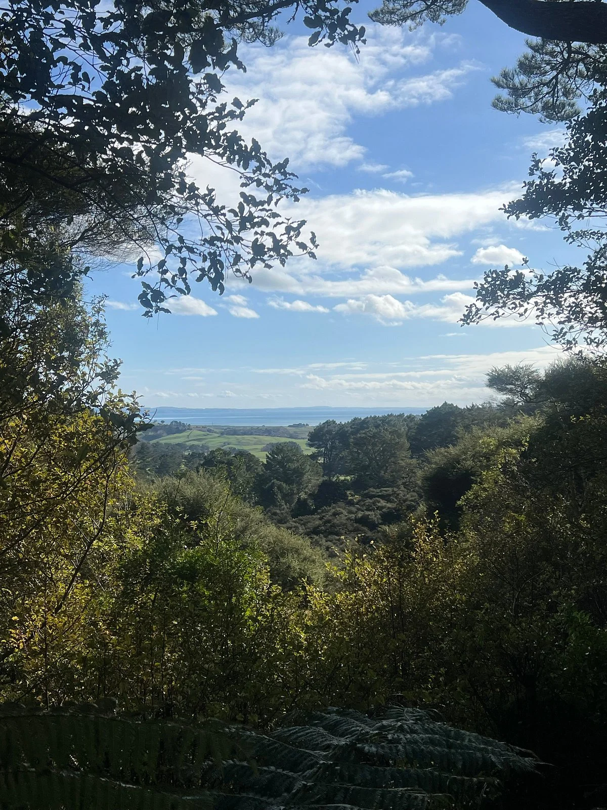 Kaipara Coast Sculpture Gardens