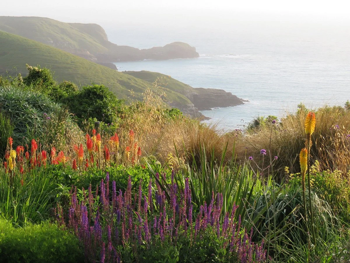Fishermans Bay Garden