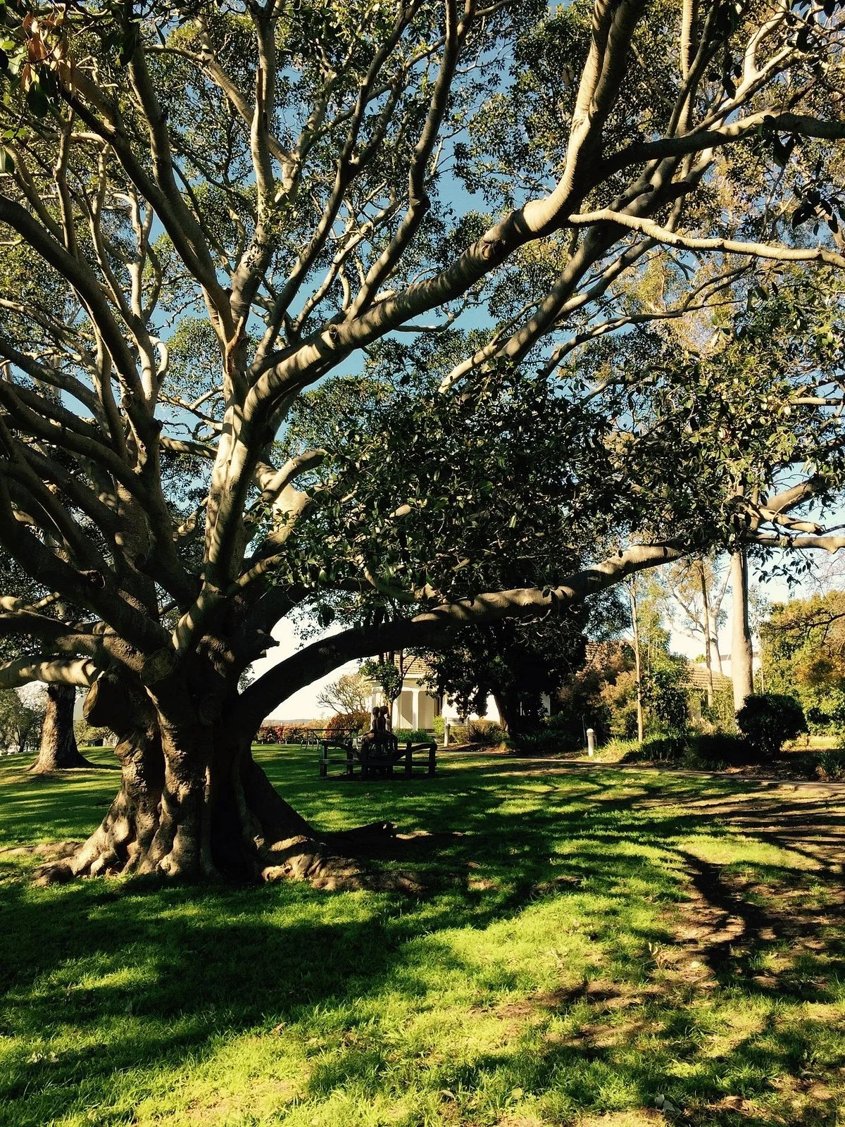 Lake Macquarie City Art Gallery