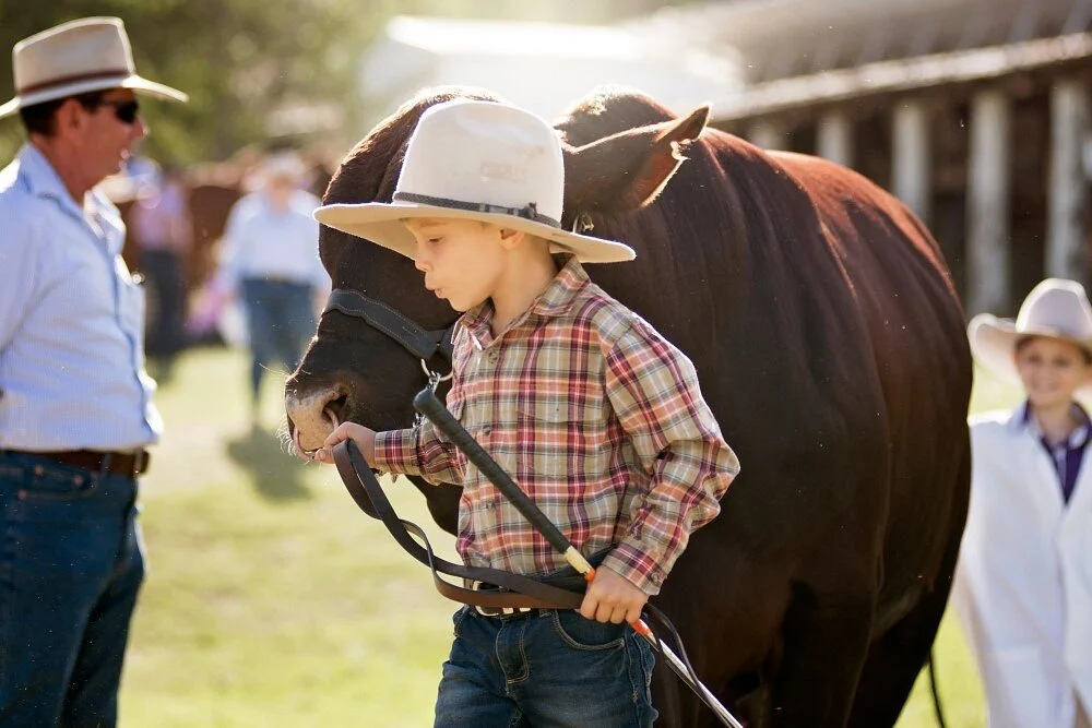Warwick Rodeo and Campdraft