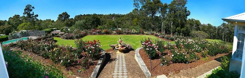 Patsy Durack's Rose Gardens
