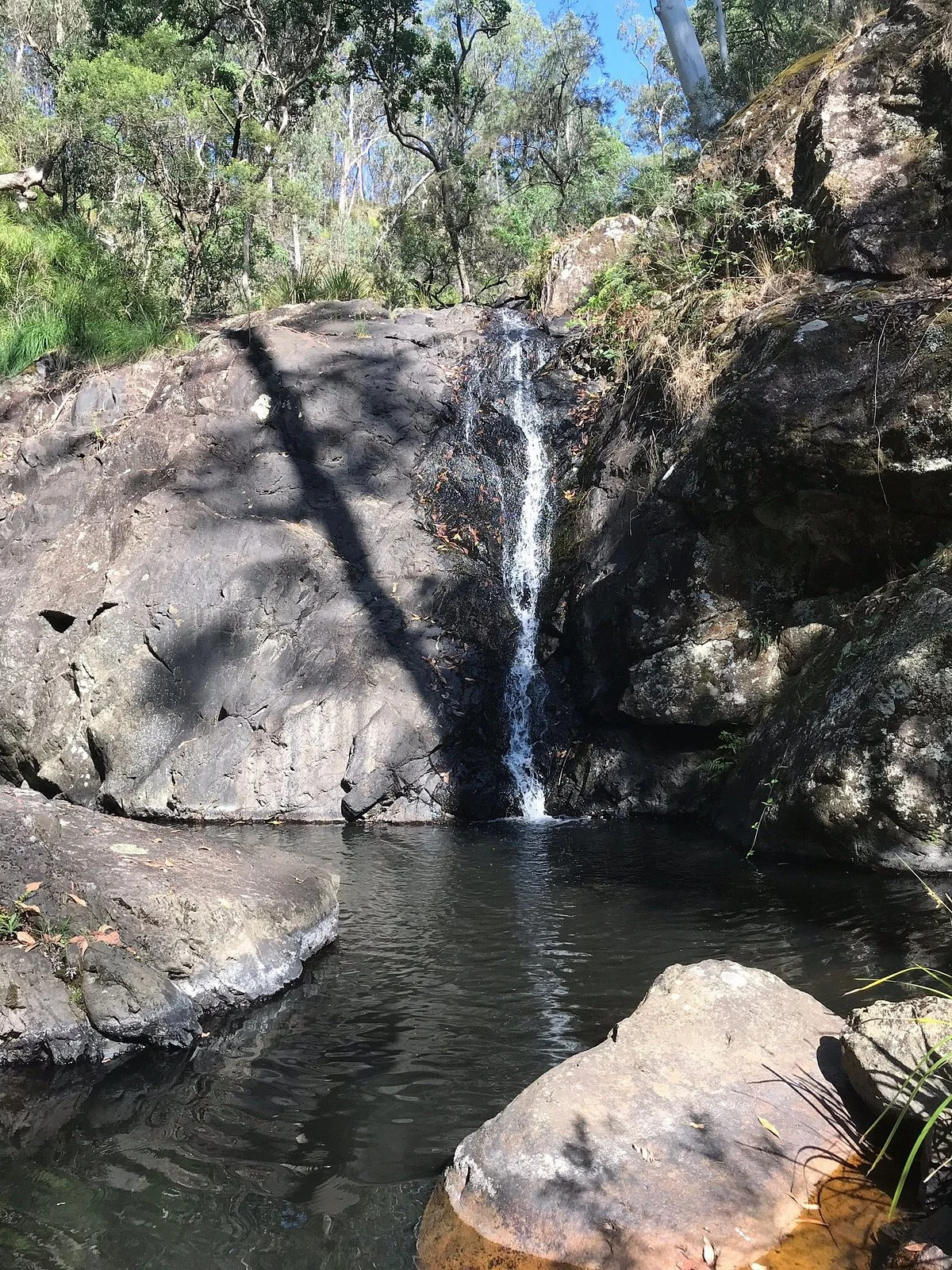 Washpool National Park
