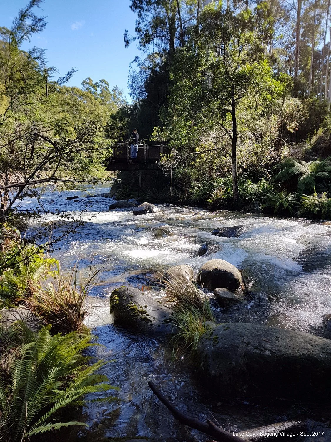 Mount Bogong