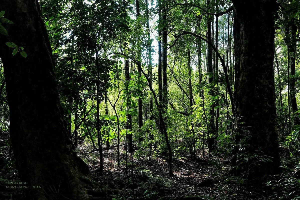 Smiths Bush Reserve