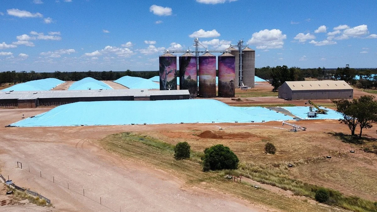 Thallon Silo Mural