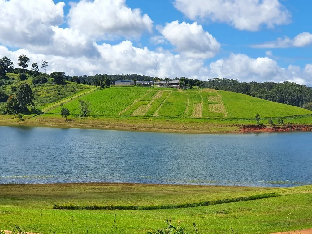 Lake Tinaroo