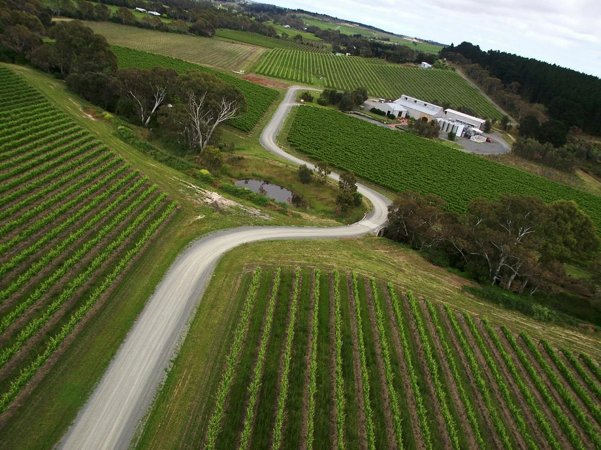 Shottesbrooke Vineyards