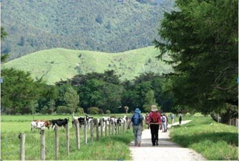 Greytown Woodside Trail