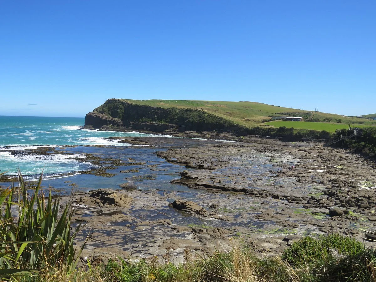 Curio Bay Natural Heritage Centre