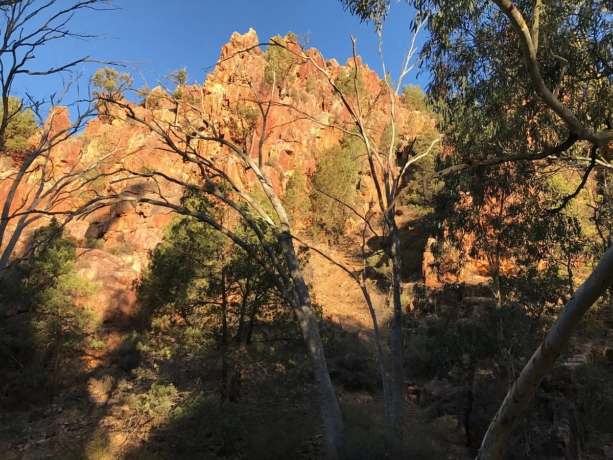Warren Gorge