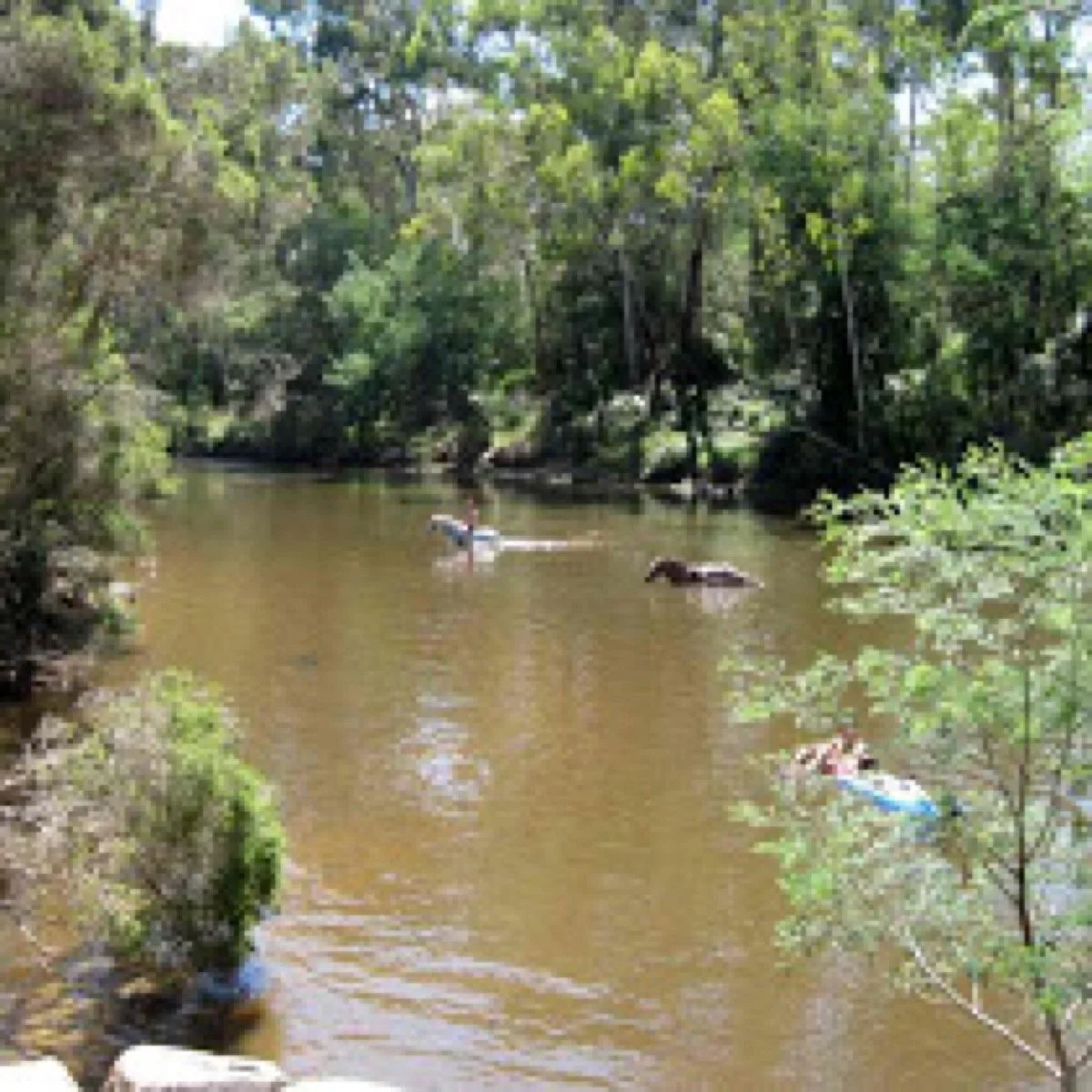 Taroona reserve