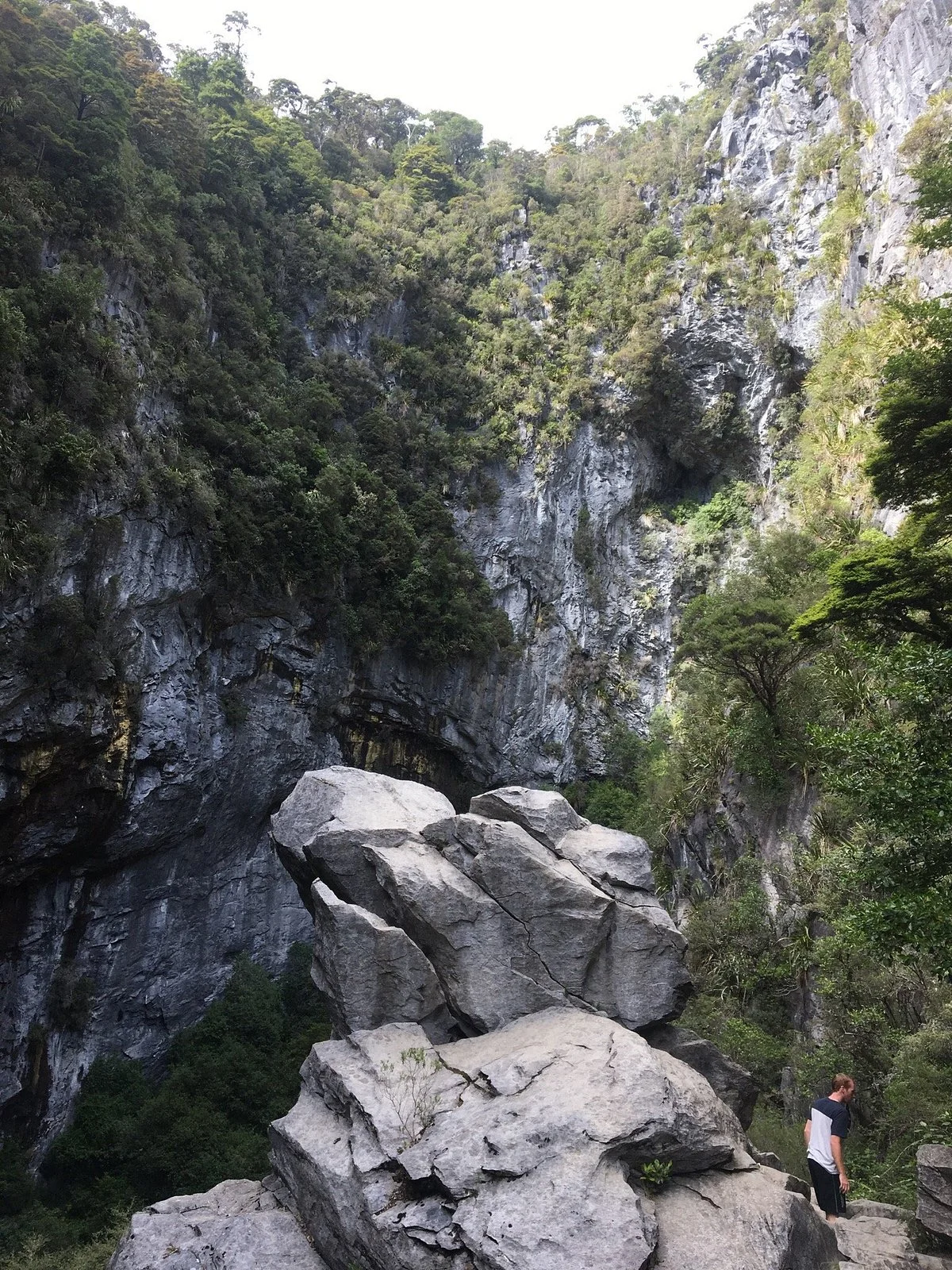 Canaan Downs Scenic Reserve