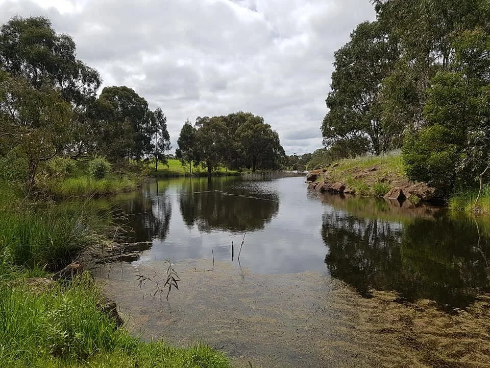 Morang Wetlands