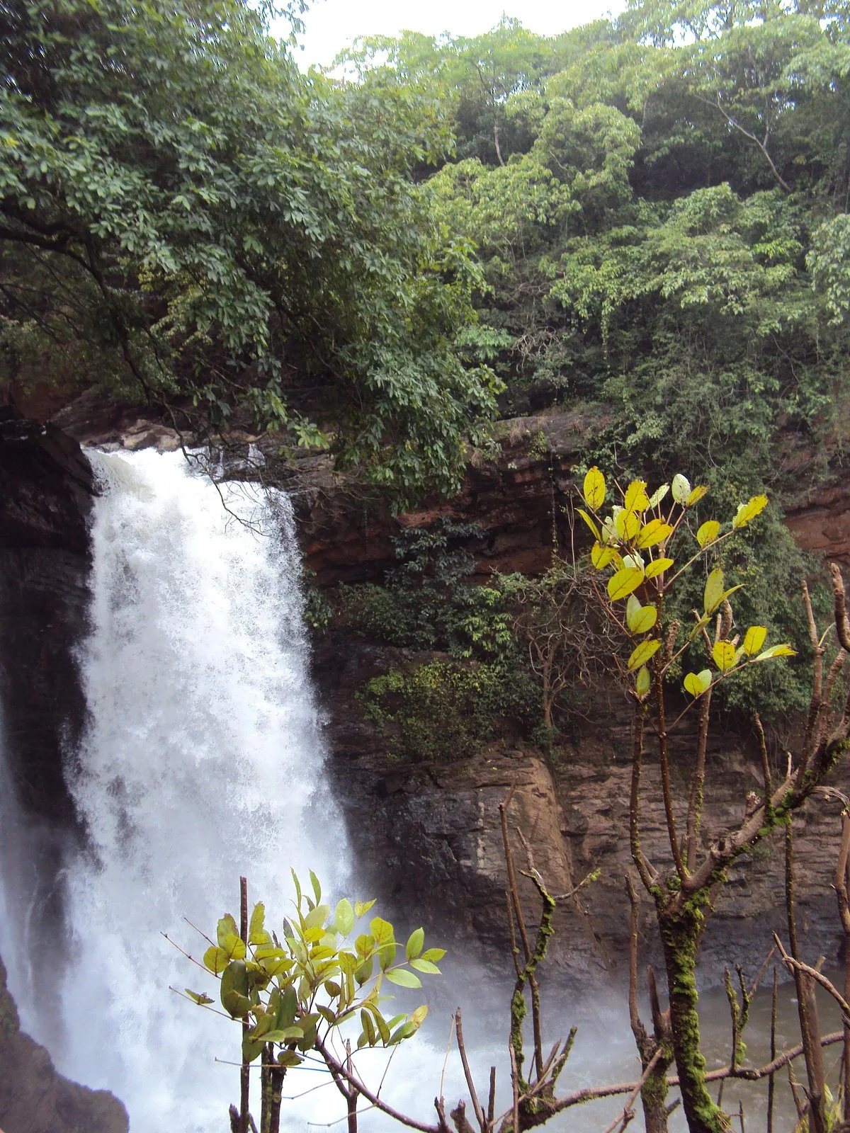 Arvalam Waterfalls