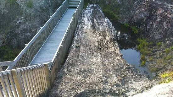 Gumdiggers Park