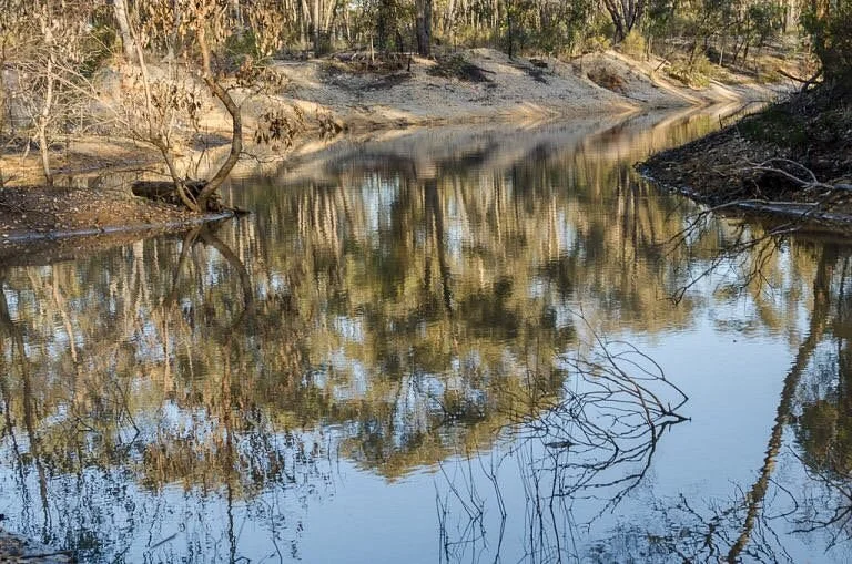 Long Forest Flora and Fauna Reserve