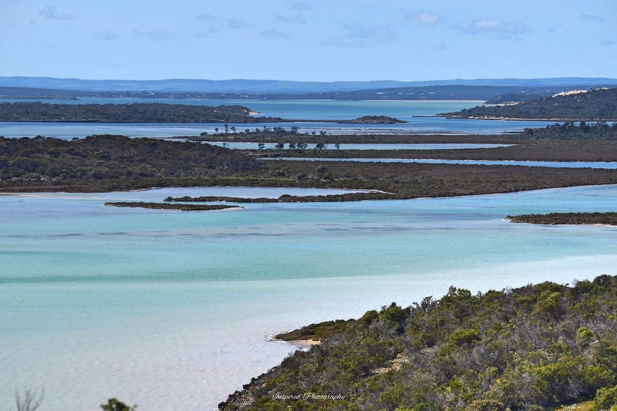Yangie Bay Hike
