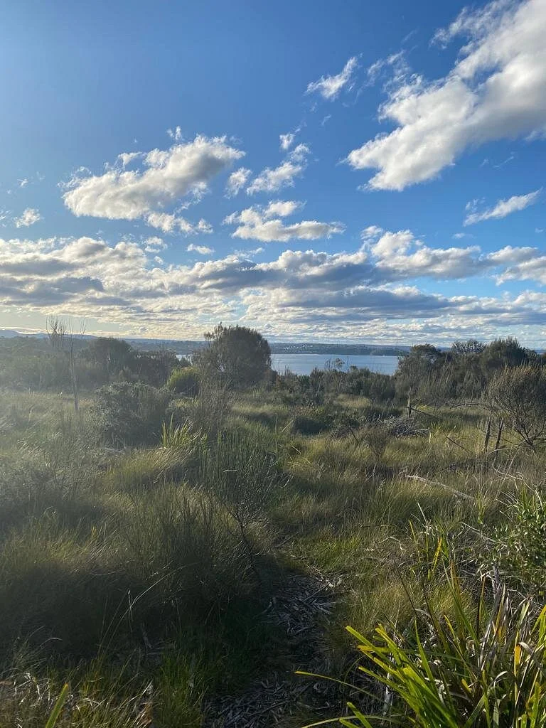 Ulladulla Wildflower Reserve