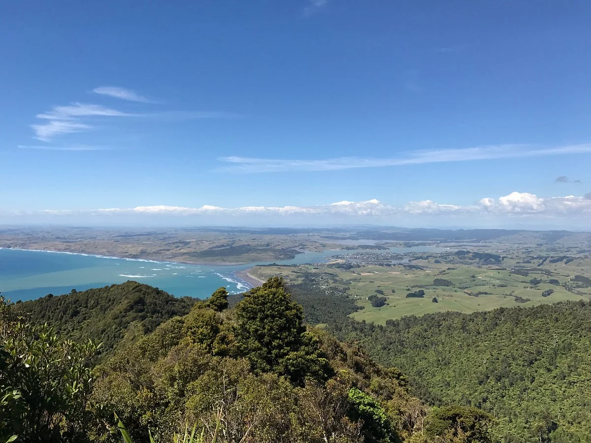 Mount Karioi summit tracks