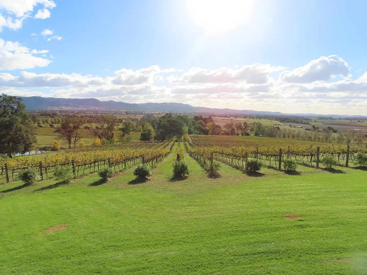First Ridge Wines