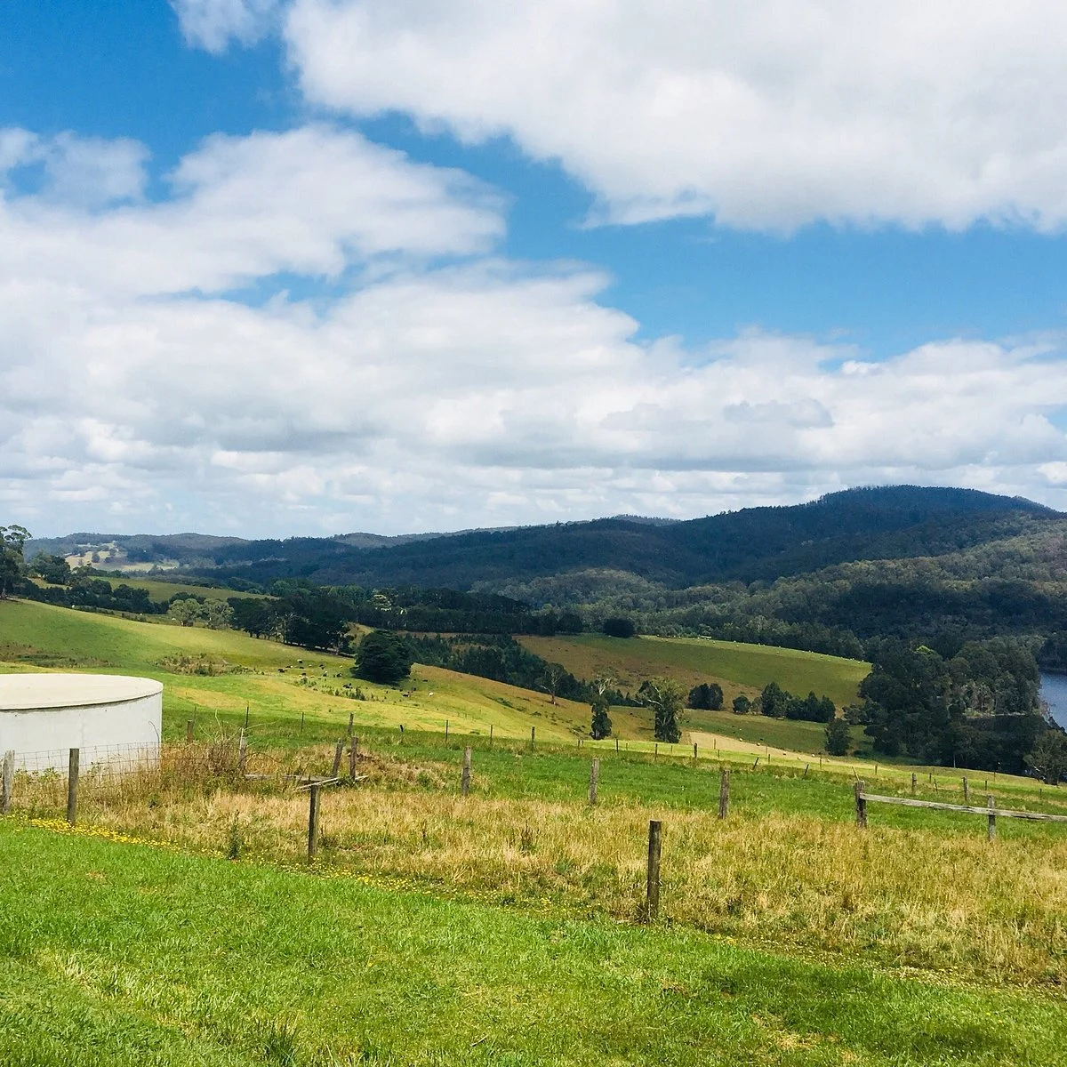 Little Charli's Lookout