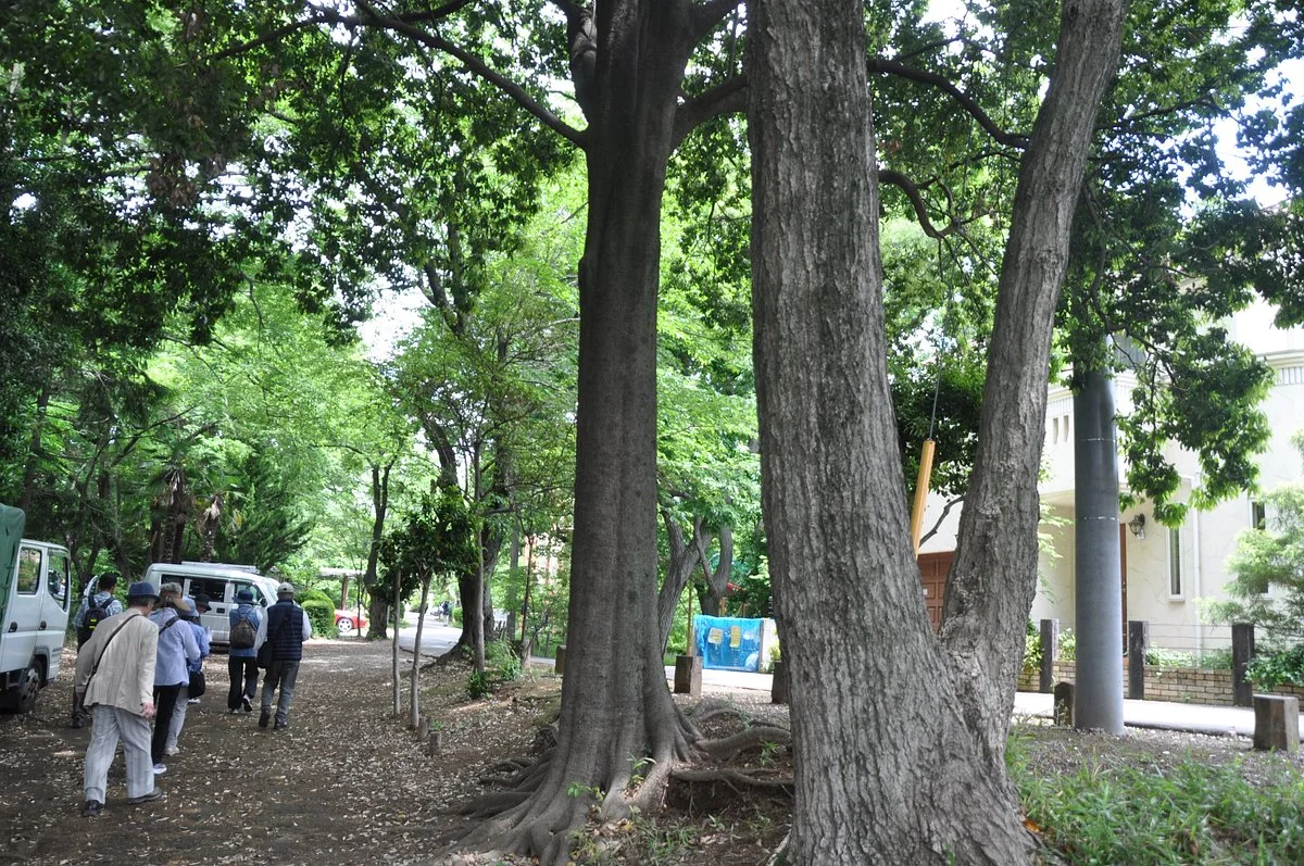 Shimizudera Park