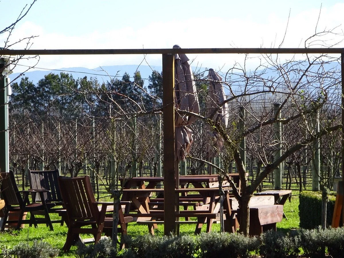 Haythornthwaite Wines